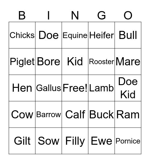 Animal Terms Bingo Card