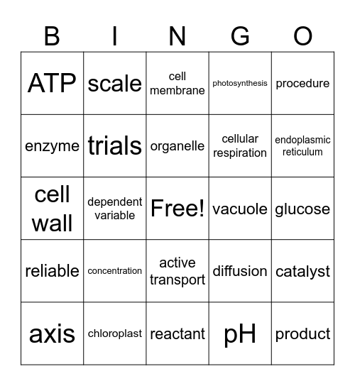 Science Midterm Vocab Bingo Card