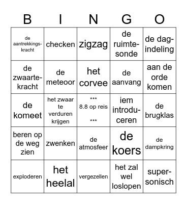 Taal op Maat gr 8 thema 8 Bingo Card