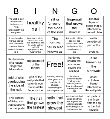 nail growth and disorders Bingo Card