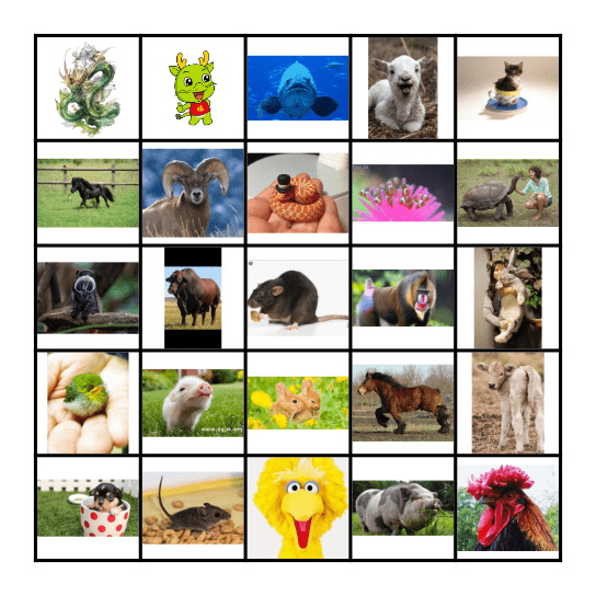 大 dà (big) + 小 xiǎo (small) 动物 dòng wù (animals) Bingo Card