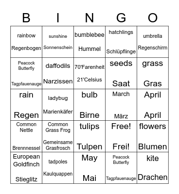 Signs of Spring Bingo Card