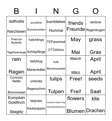 Signs of Spring Bingo Card