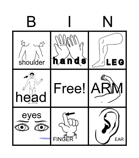 BODY   PARTS Bingo Card