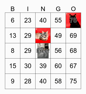 KYRA'S SPECIAL BINGO Card