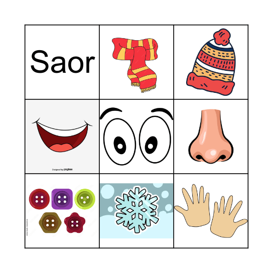 Fear Sneachta Biongó Bingo Card