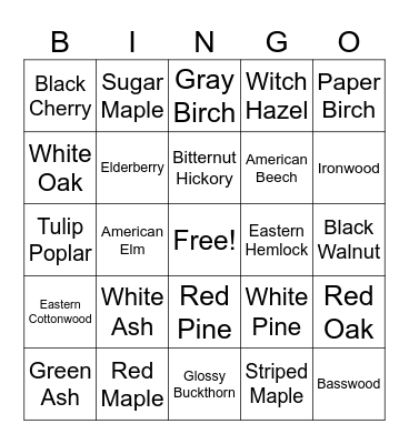 Winter Tree Bud and Twig Bingo Card