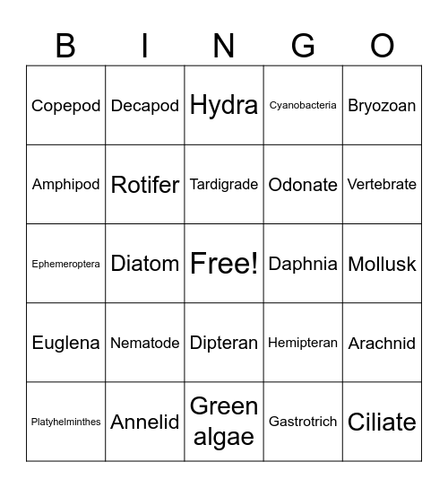 Life in a Pond Bingo Card