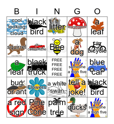 Nature Walk! Bingo Card