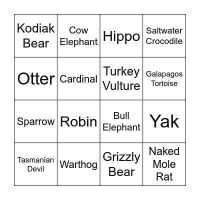 Savannah Bingo Card