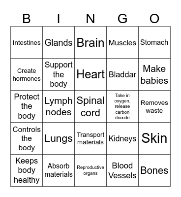 Body Systems Bing Bingo Card