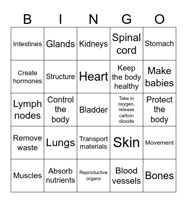 Body Systems Bongo Bingo Card