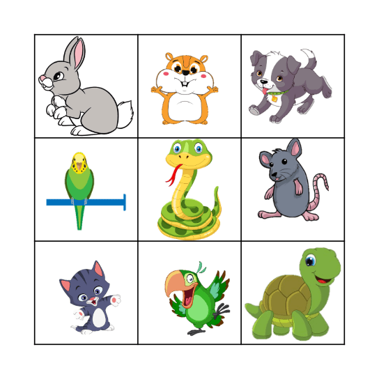 pets Bingo Card