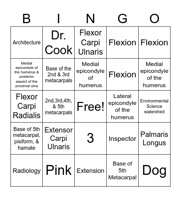 Wrist and Hand Muscles Bingo Card