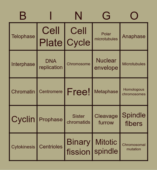 Mitosis Bingo Card