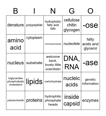 Biomolecules Review Bingo Card