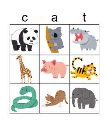 What animal is this? Bingo Card