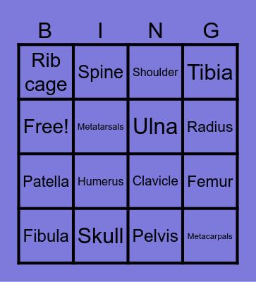 Skeletal System Bingo Card