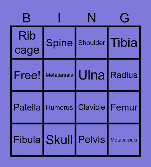 Skeletal System Bingo Card