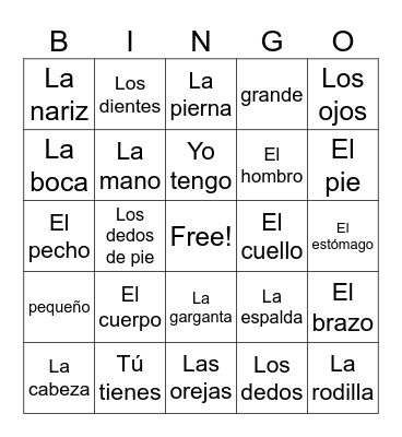 El Cuerpo: Body Vocabulary Bingo Card