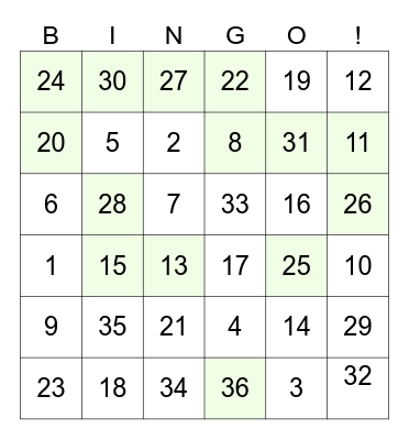 Bingo 2024 Bingo Card