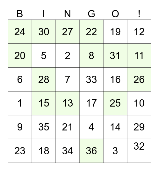 Bingo 2024 Bingo Card