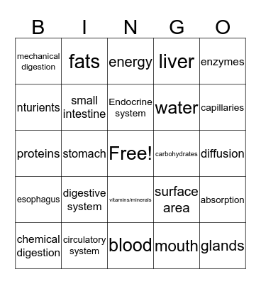 Science Bingo Card