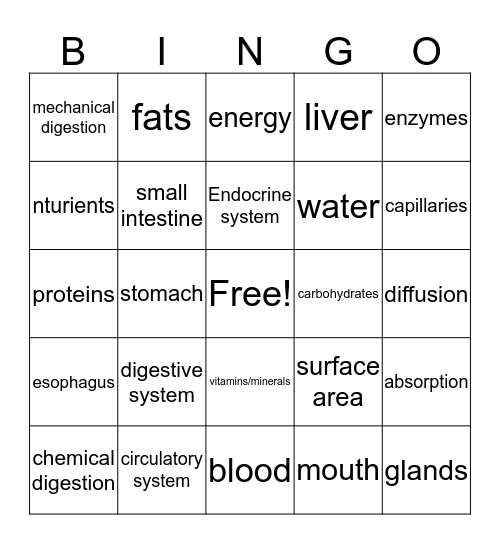 Science Bingo Card