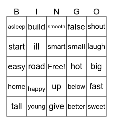 Synonyms and Antonyms Bingo Card