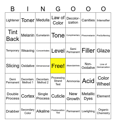 Haircoloring Review Bingo Card