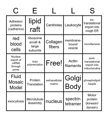 Inner Life of a Cell Bingo Card