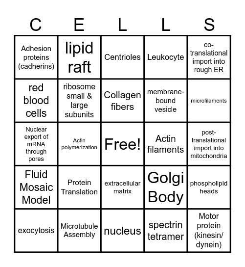 Inner Life of a Cell Bingo Card