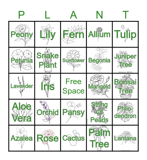 PLANT Bingo! Bingo Card
