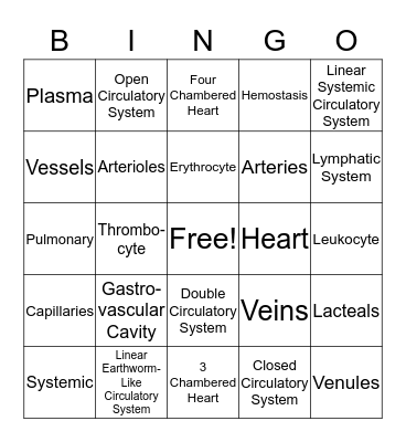 Circulatory System Bingo Card