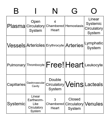 Circulatory System Bingo Card