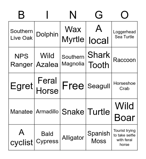 Cumberland BINGO! Bingo Card