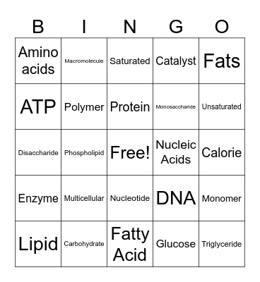 Macromolecule Vocabulary Bingo Card