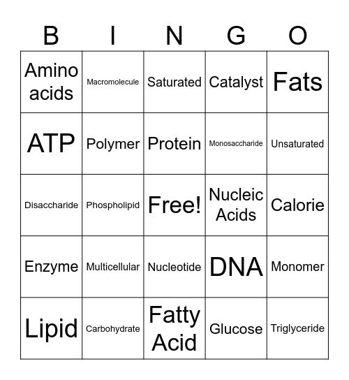 Macromolecule Vocabulary Bingo Card