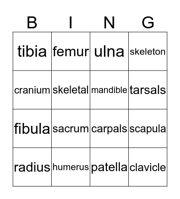 Skeletal System Bingo Card
