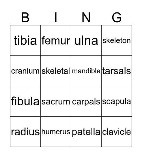 Skeletal System Bingo Card