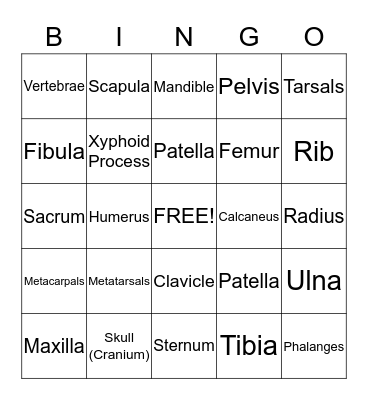 Skeletal System Bingo Card