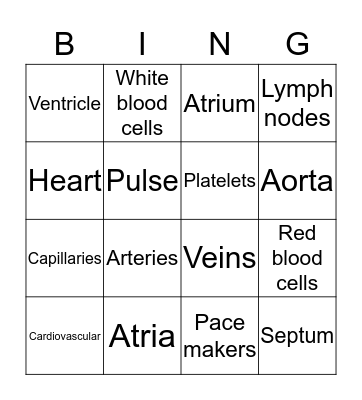 Circulatory BINGO Card