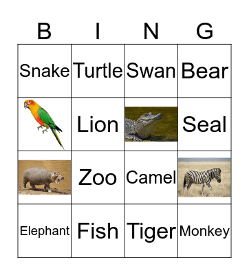 Zoo Animals Bingo Card
