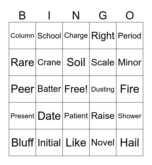 Homonyms Bingo Card