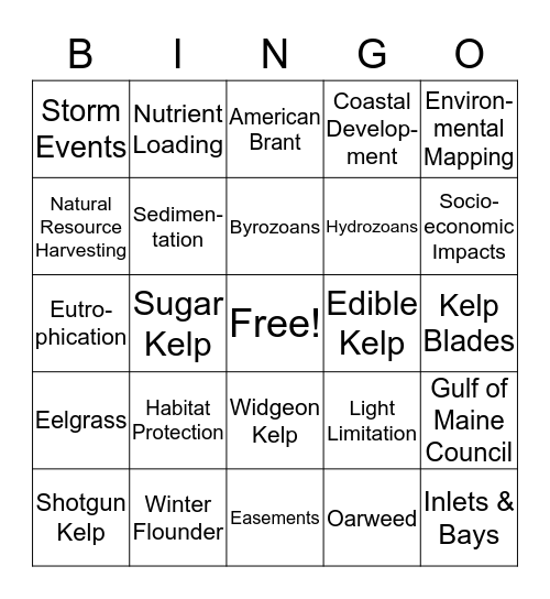 Kelp and Seagrass Bed Bingo Card