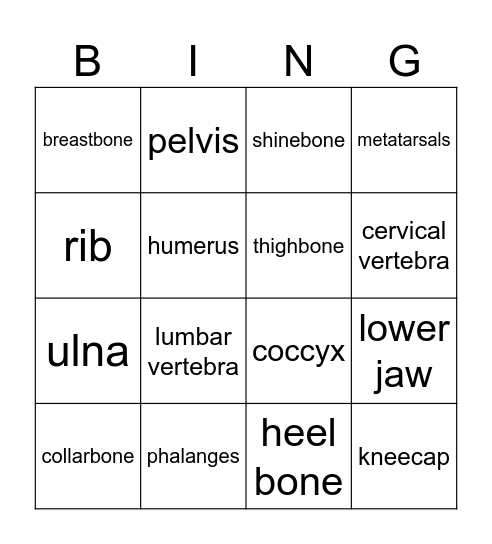 Bone Bingo Card