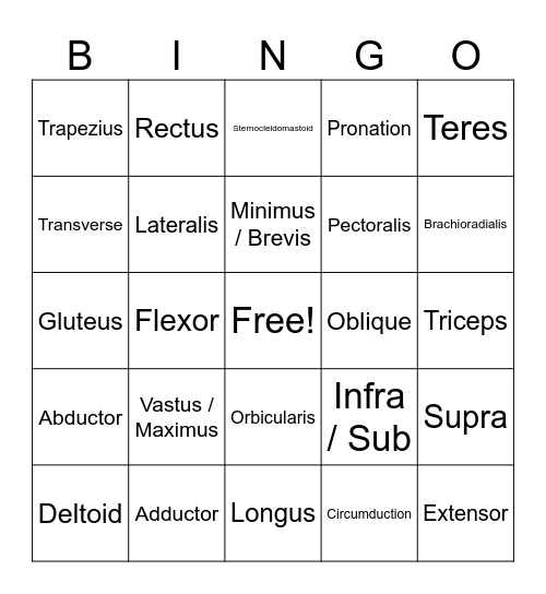 Muscle Naming Bingo Card