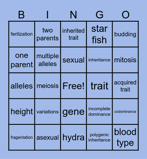 Patterns of Reproduction Bingo Card