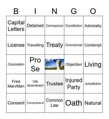 Sov Cit Bingo Card