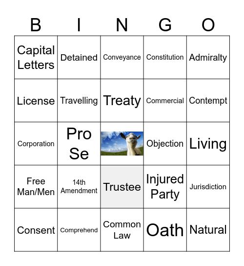 Sov Cit Bingo Card